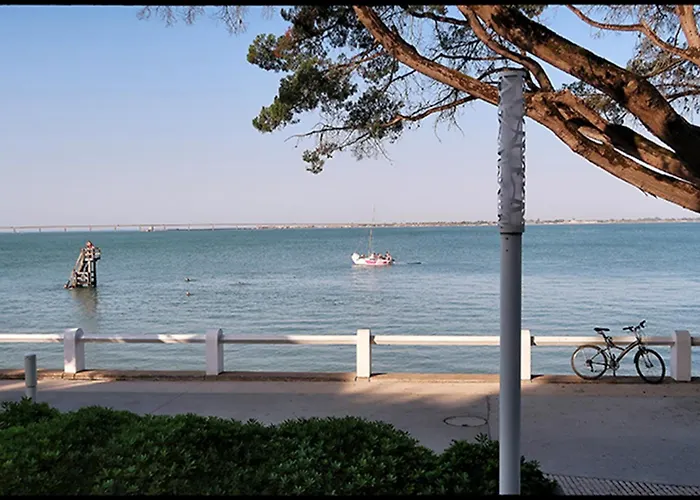 Daire Le Plongeoir *